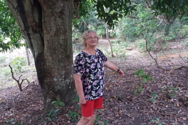 Produtores rurais encontram oito macacos mortos em Pancas 2 Denicia Kipert mostra onde um macaco foi encontrado morto. Em sua propriedade, sete macacos morreram