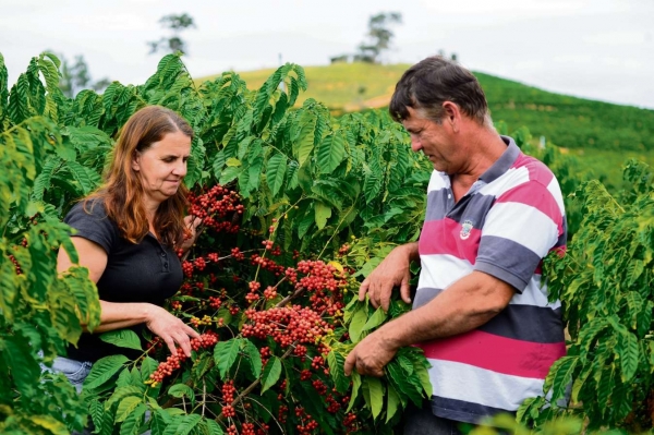 A Gazeta  Café capixaba é vendido para gigante do setor agrícola