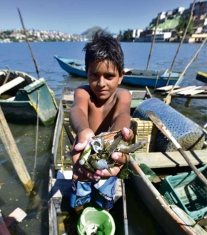Matheus, de 11 anos, não estuda há um ano e ajuda a família a catar mariscos em Cariacica 