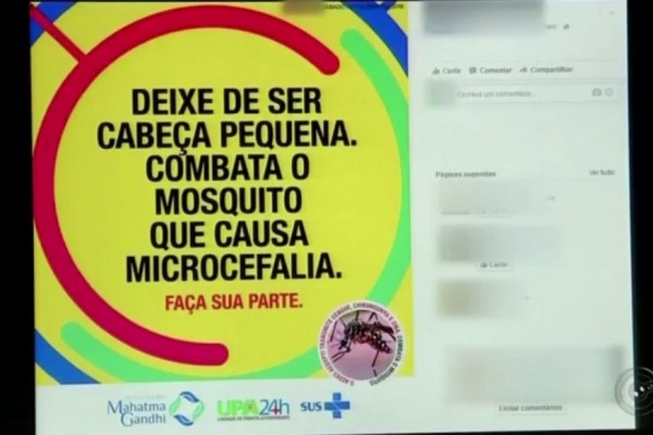1_zika-4378239.jpg