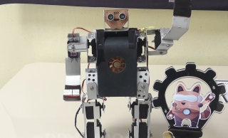 O robô campeão da equipe foi apelidado de 'carniça galopeira' 