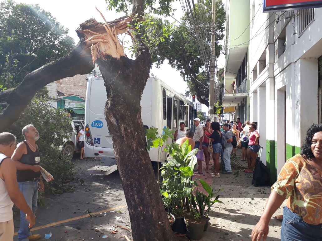Acidente deixa três feridos e derruba árvore em Vitória