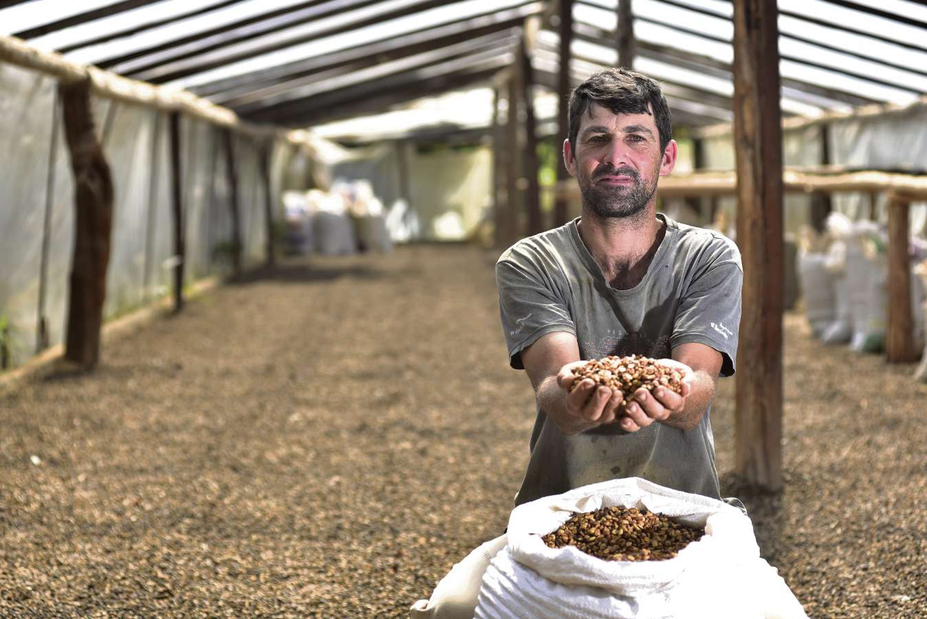 A Gazeta  Café capixaba é vendido para gigante do setor agrícola