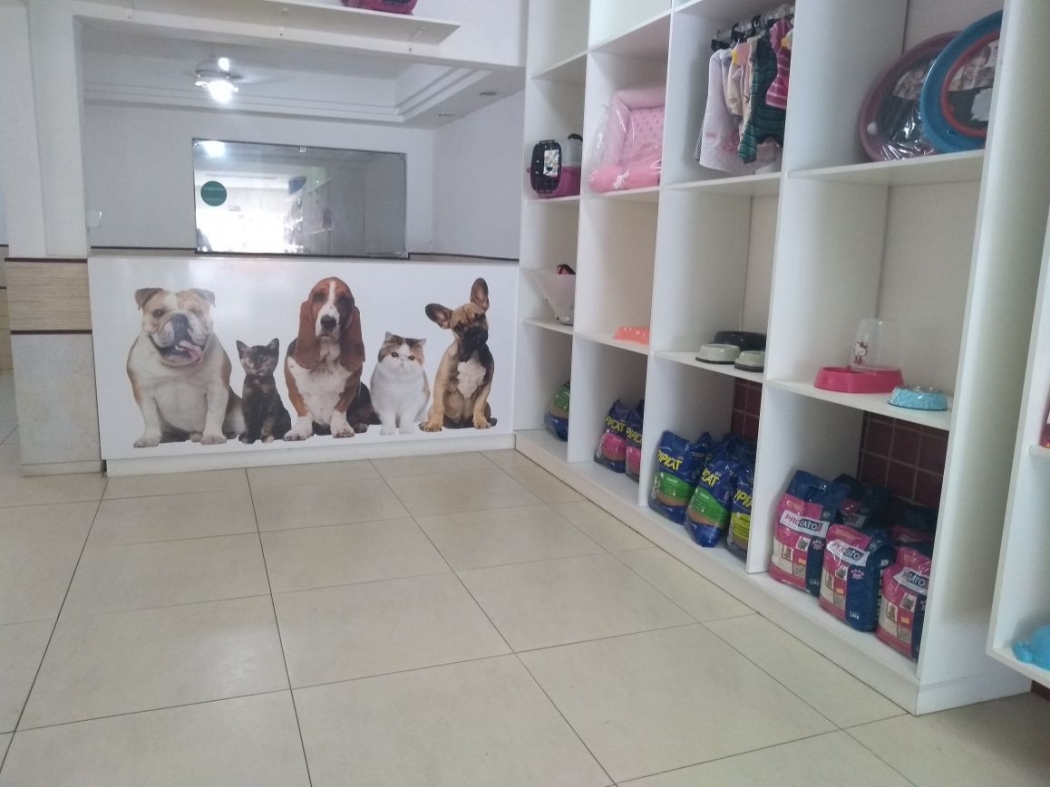 Número de pet shops aumentou em Vila Velha e na Serra. Crédito: Eduardo Dias