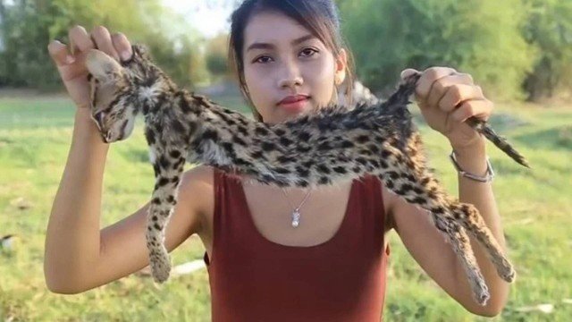 Ah Lin Tuch e um gato ameaçado de extinção. Crédito: Reprodução | YouTube