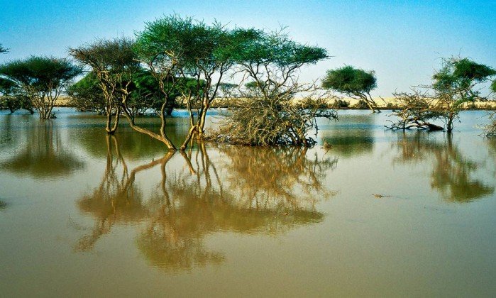 Mangues de Al Thakira, perto da Al Khor, uma das cidades-sede da Copa. Crédito: Divulgação