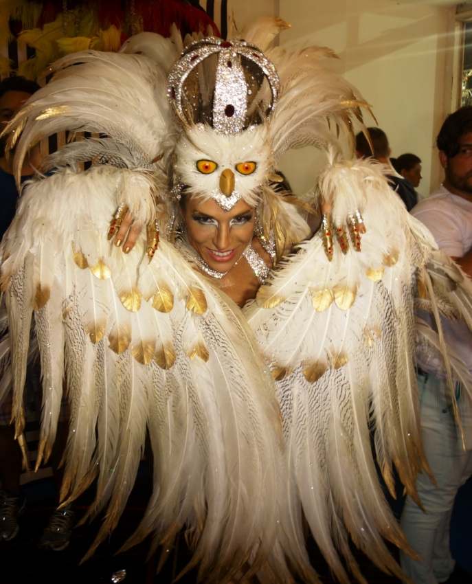 Em anos anteriores, a empresária Lorena Bragatto, ex-rainha de bateria da Jucutuquara, tinha apostado em fantasia de luxo com plumas de faisão albino, uma das mais caras, para dar vida a uma coruja, que fazia parte da proposta do enredo da escola. Crédito: Pedro Permuy